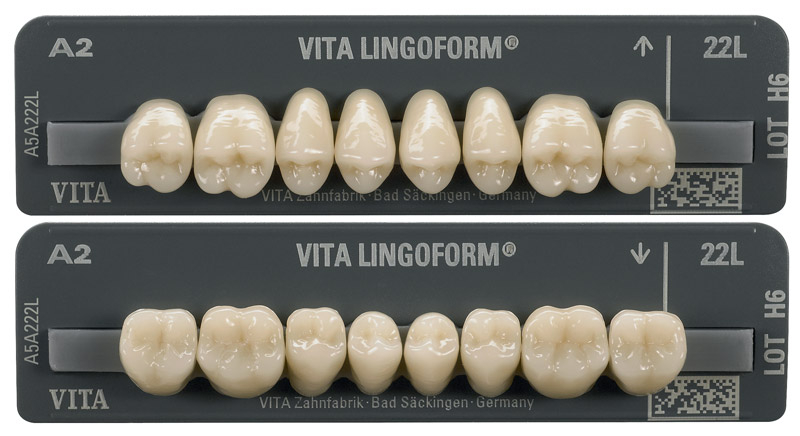 VITA PHYSIODENS LINGOFORM 3D MASTER  Vita 71008-4m2-23l-b