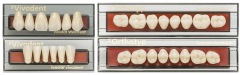 SR ORTHOTYP Postérieures  Ivoclar 75600-4c-n6-b