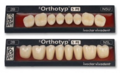 SR ORTHOTYP S PE Postérieures  Ivoclar 76900-3c-n3-h